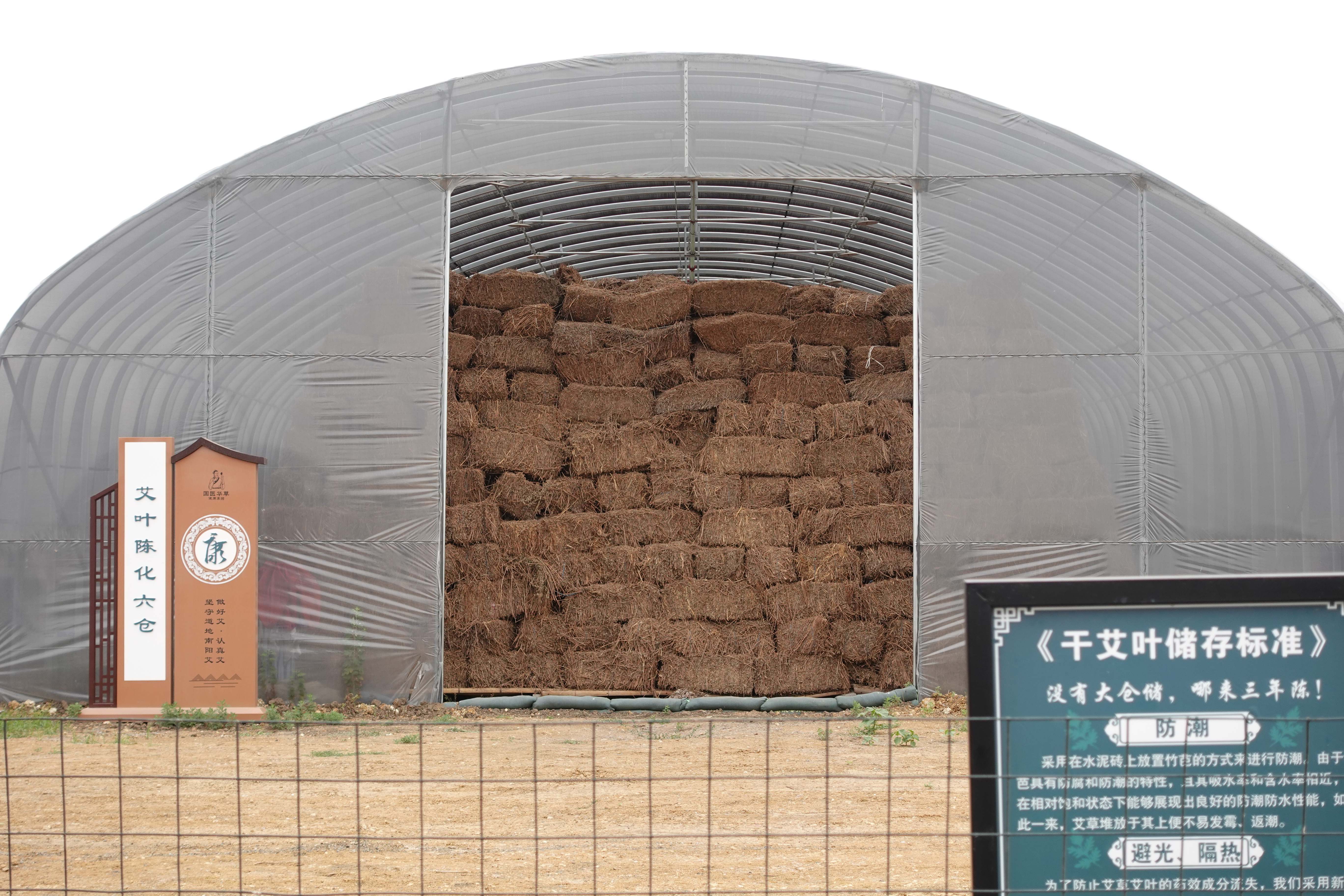 艾产业高质量发展主委单位